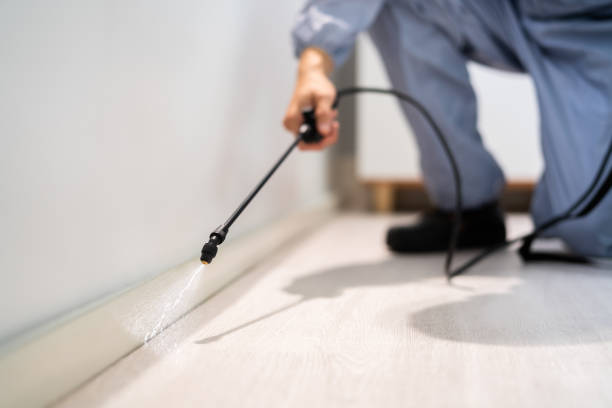 Licensed Fumigation Services service in Oradell, NJ - Nex Pest Control