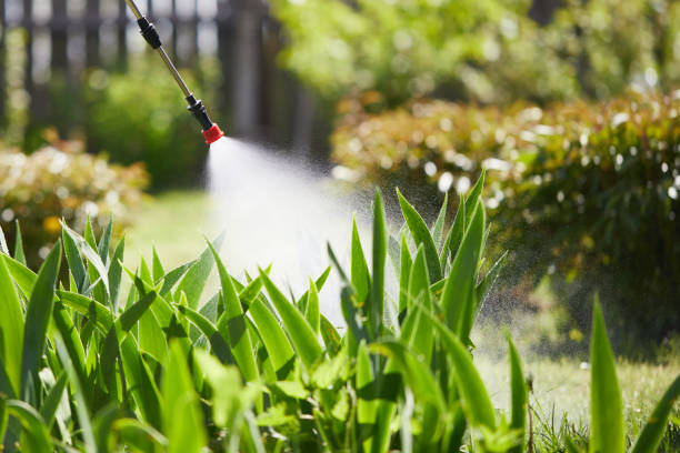 24/7 Emergency Fumigation Services experts in Oradell, NJ