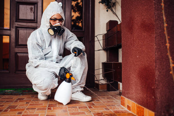 Reliable Fumigation Services contractor in Oradell, NJ by Nex Pest Control
