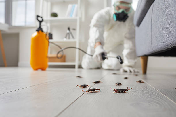 Trusted Termite Control service in Oradell, NJ - Nex Pest Control