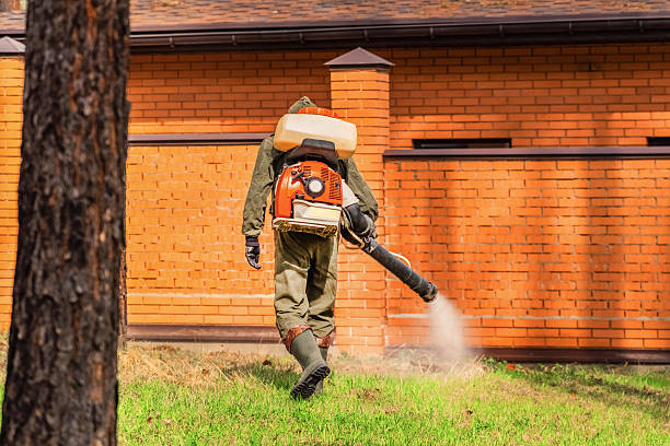 Trusted Mosquito Control service in Oradell, NJ - Nex Pest Control
